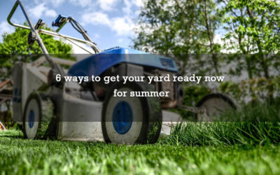 6 ways to get your yard ready now for summer