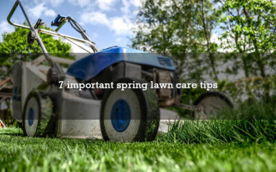 7 important spring lawn care tips