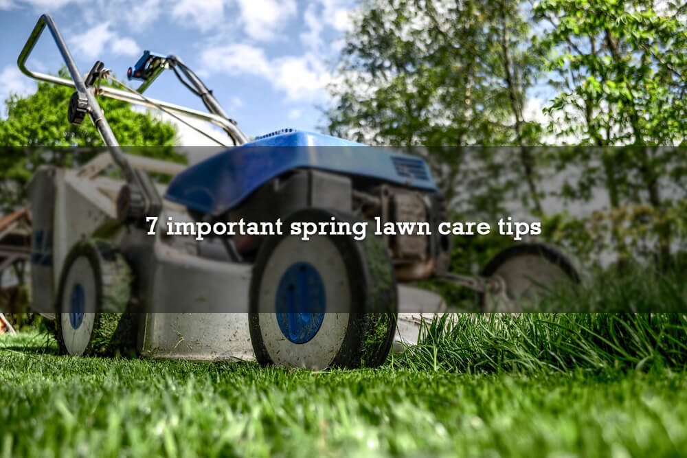 7 important spring lawn care tips