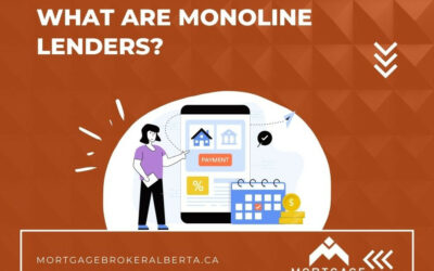 What are Monoline Lenders? How are they Different from Other Lenders?